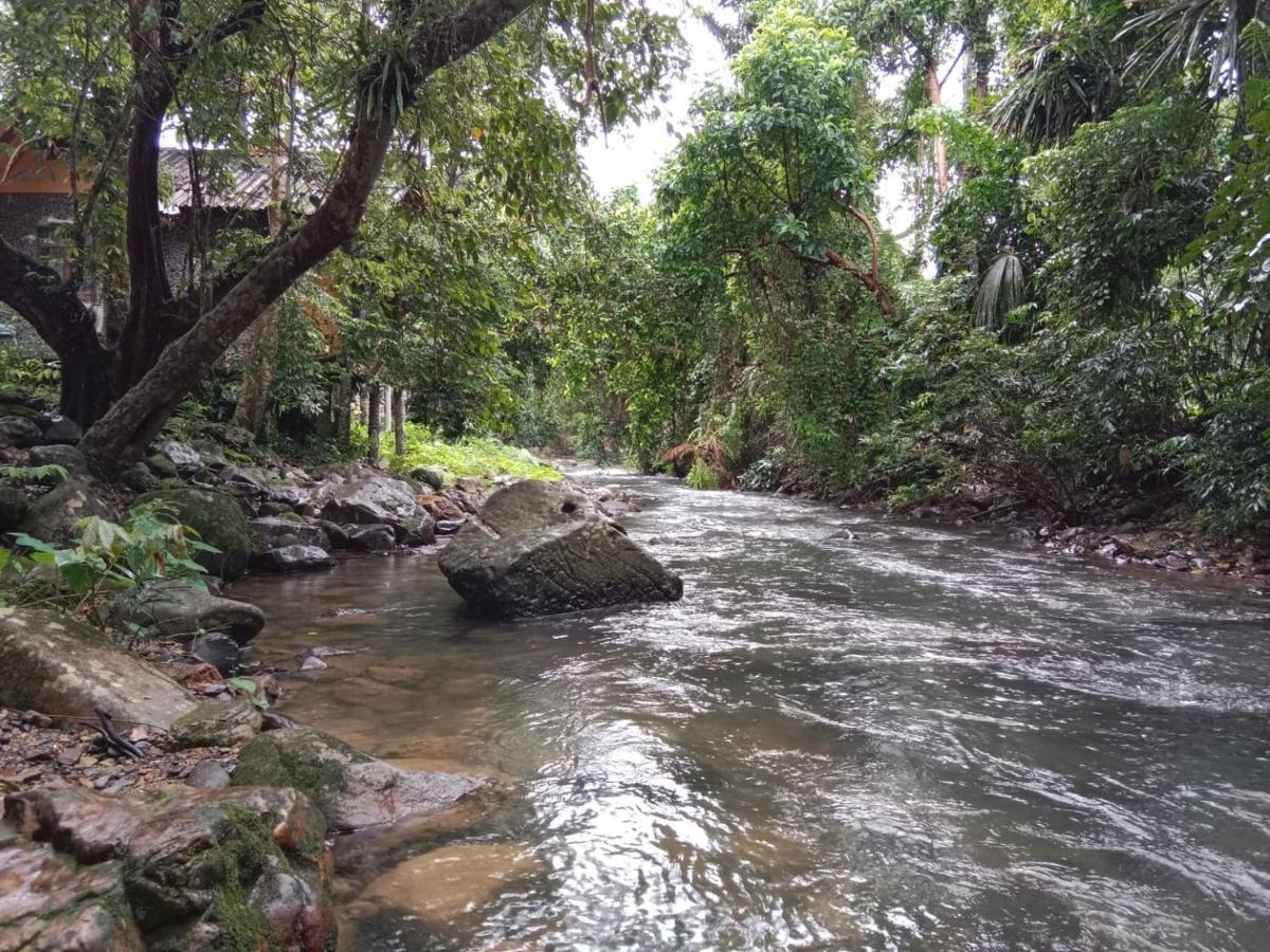 Khao Sok National Park Tree Tops River Huts מראה חיצוני תמונה