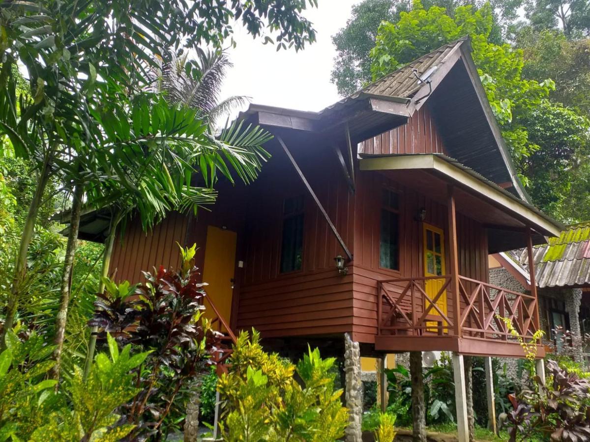 Khao Sok National Park Tree Tops River Huts מראה חיצוני תמונה