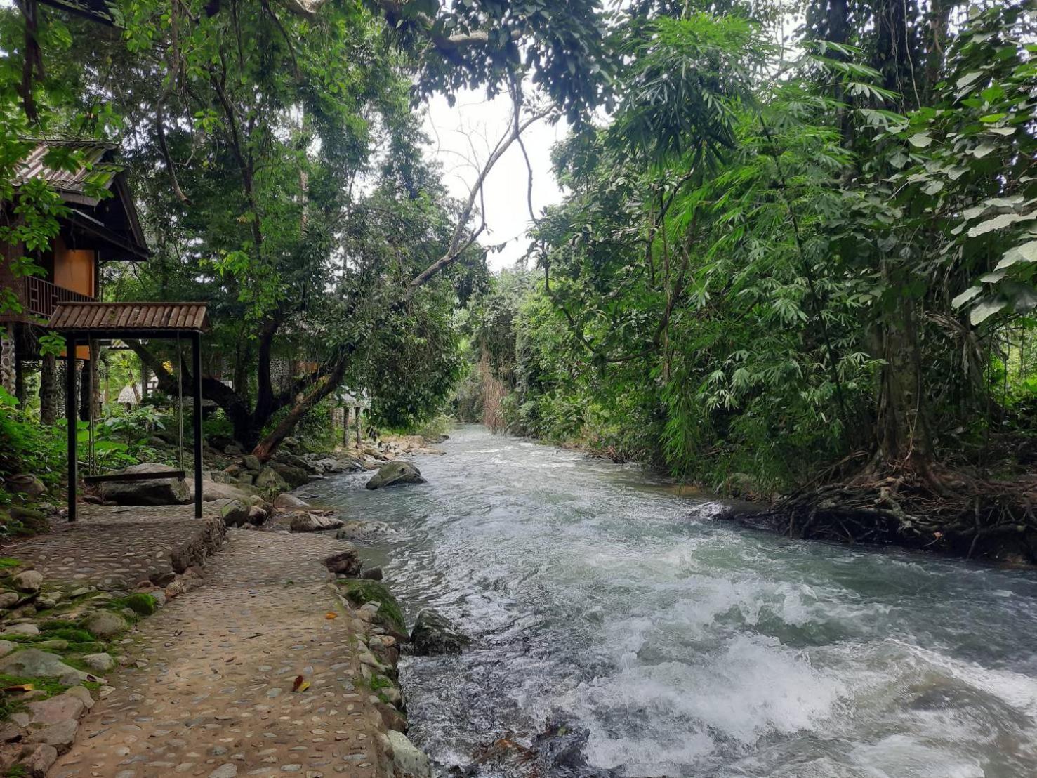 Khao Sok National Park Tree Tops River Huts מראה חיצוני תמונה