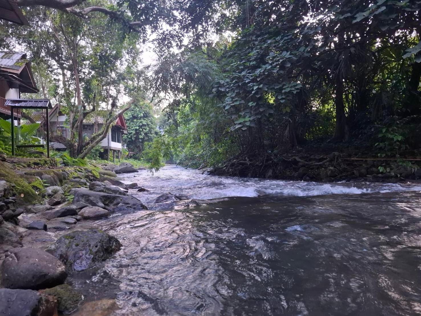 Khao Sok National Park Tree Tops River Huts מראה חיצוני תמונה